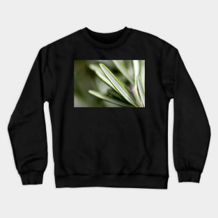 Rosemary Leaves Crewneck Sweatshirt